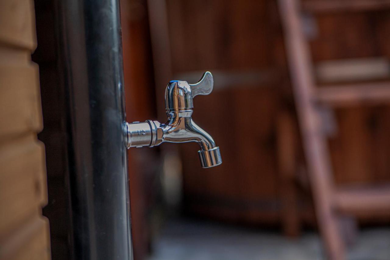 Apartamenty przy górskich rzekach Nowy Targ Zewnętrze zdjęcie